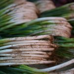 Harga Bawang Mencekik di Tengah Tren Kenaikan Penjualan Eceran Nasional